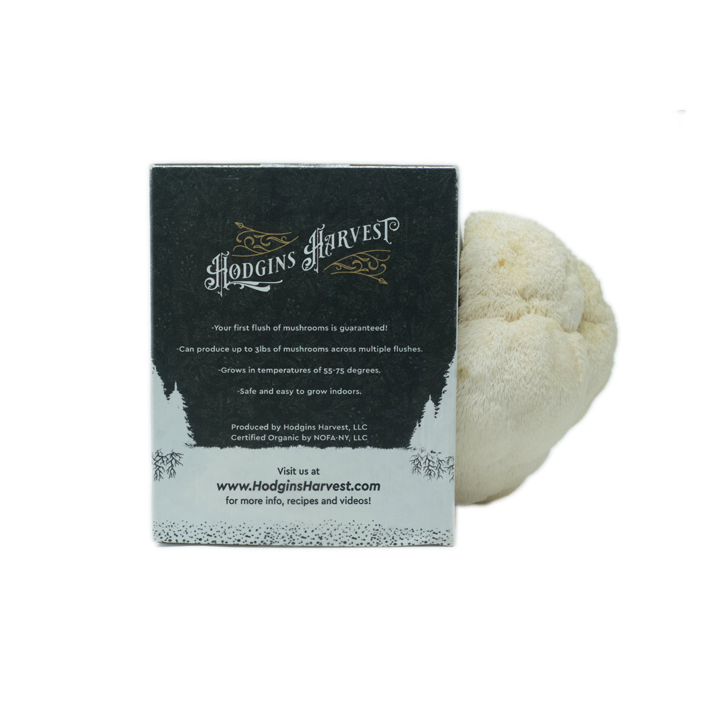 Organic Lion's Mane Mushroom Grow Kit