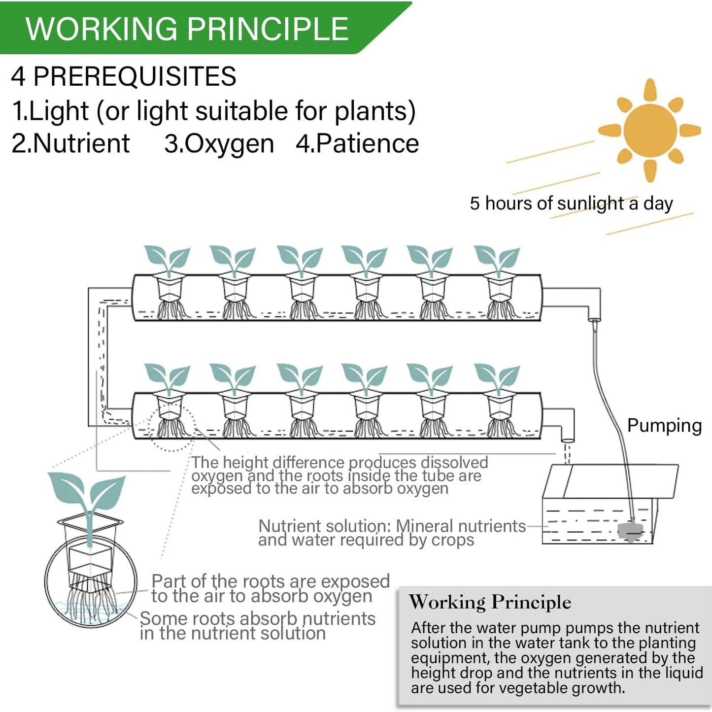 GreenFlow 36 - Hydroponic Harmony System Kit