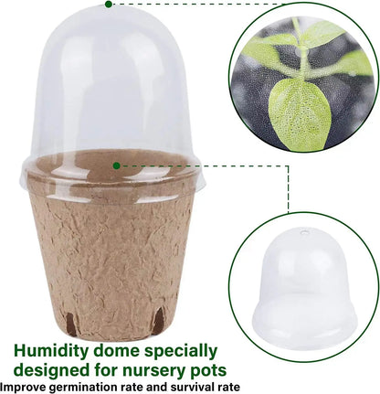 Eco-Friendly Seed Starter Peat Pots with Dome