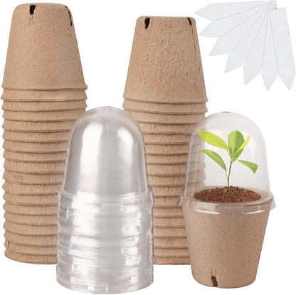 Eco-Friendly Seed Starter Peat Pots with Dome