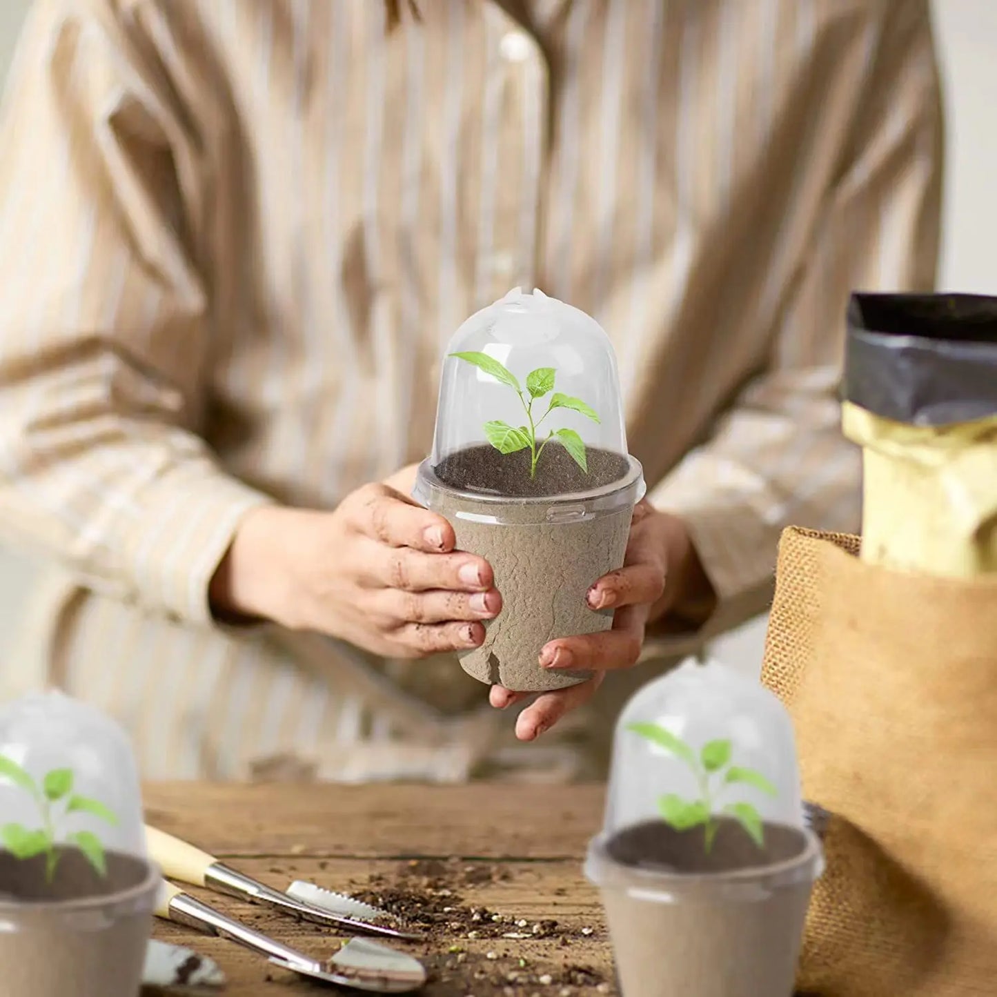 Eco-Friendly Seed Starter Peat Pots with Dome