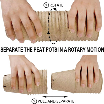 Eco-Friendly Seed Starter Peat Pots with Dome