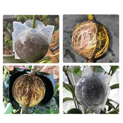 RootEase Reusable Plant Rooting Ball Transplant Nursery Ball Sapling