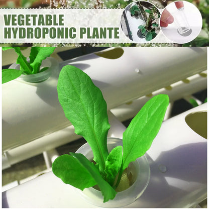 GreenFlow 36 - Hydroponic Harmony System Kit