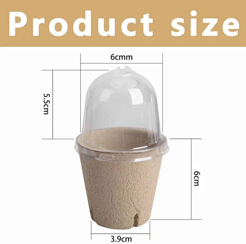 Eco-Friendly Seed Starter Peat Pots with Dome