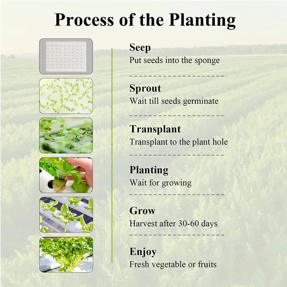 GreenFlow 36 - Hydroponic Harmony System Kit