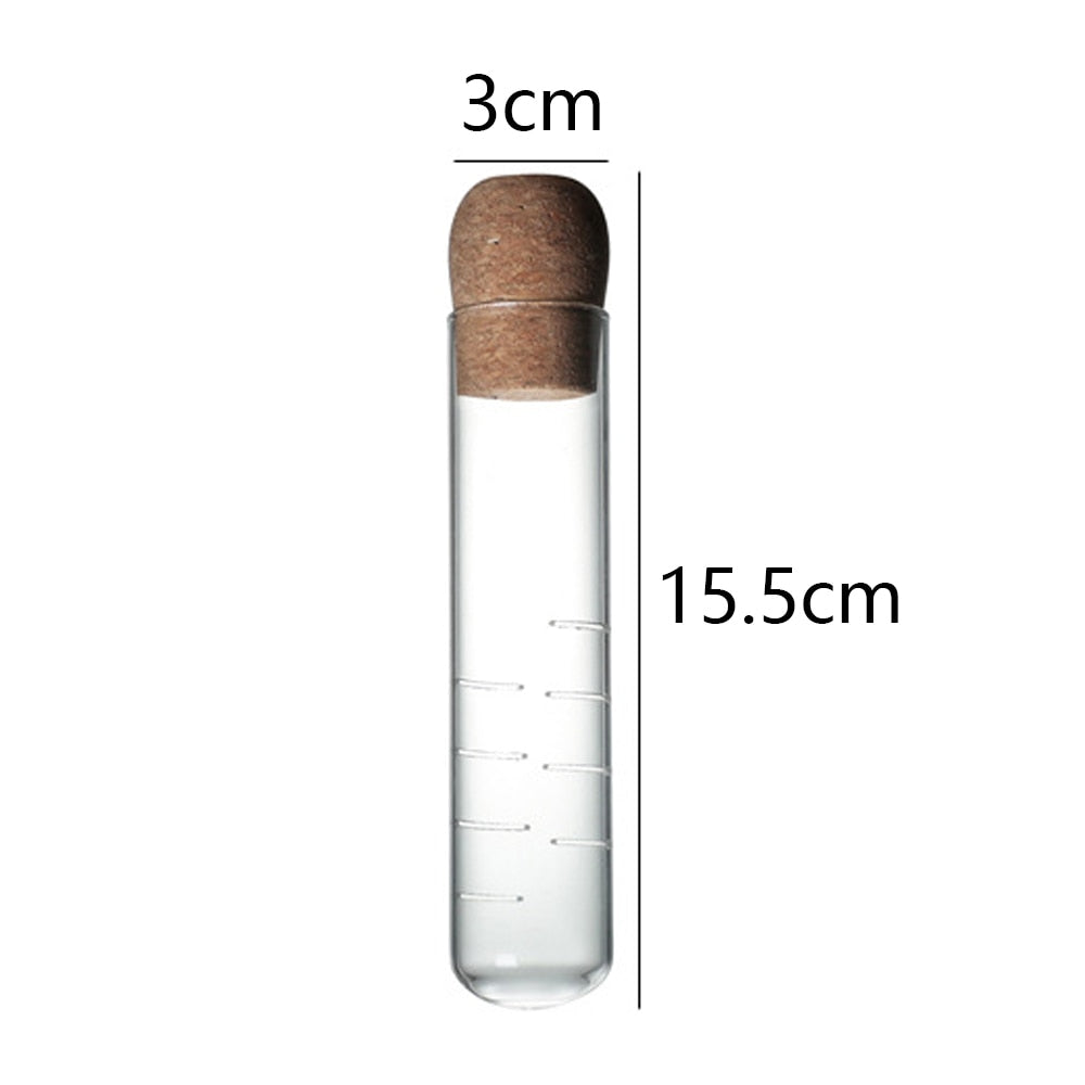 Glass Filter Tea Infuser | Tea Accessories